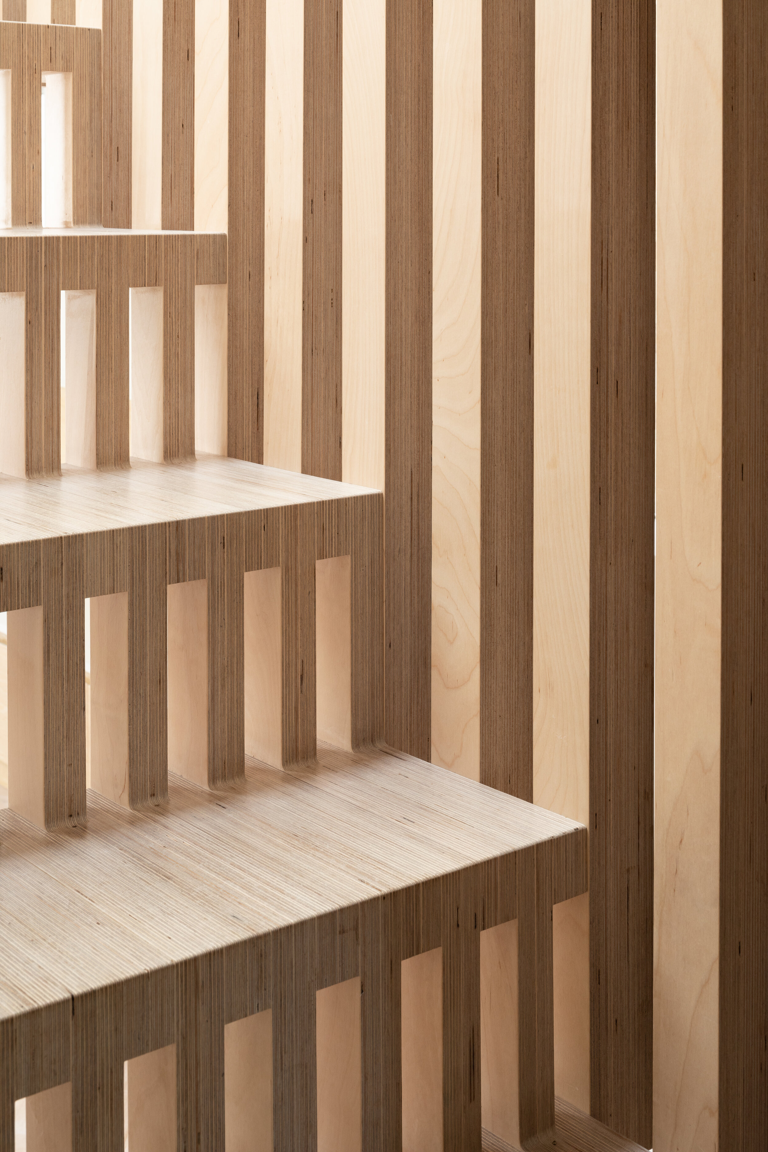 阶梯屋丨英国伦敦丨Grey Griffiths Architects-10