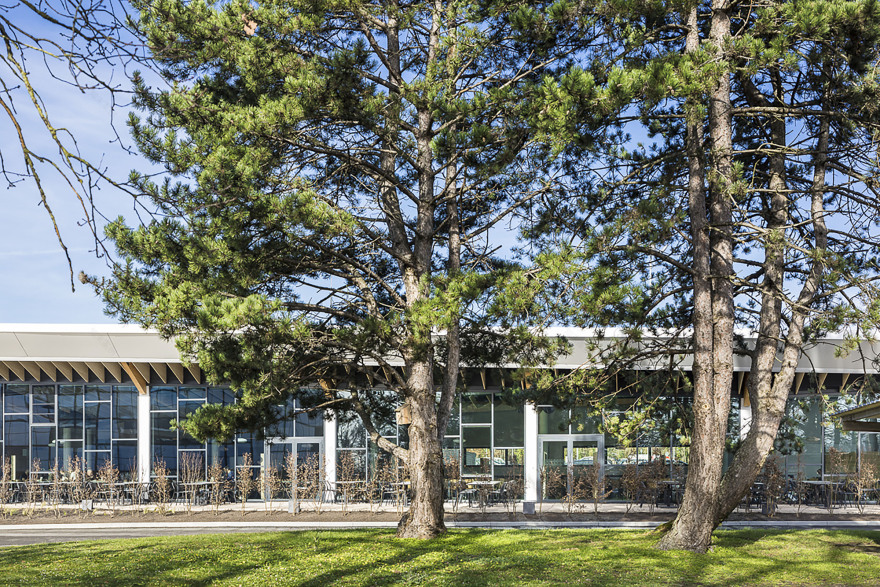 Parfums Christian Dior Company Restaurant / Palissad Architectures-37