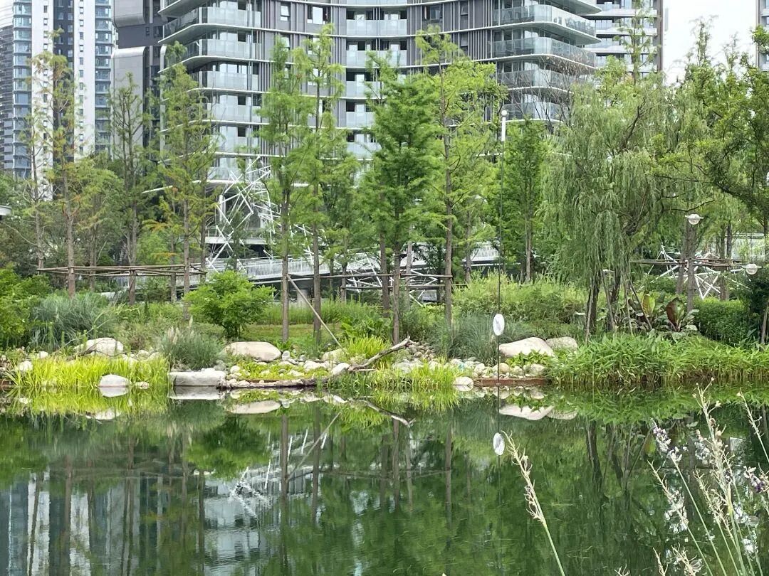 西里丨成都万华麓湖生态城·沄洲-18