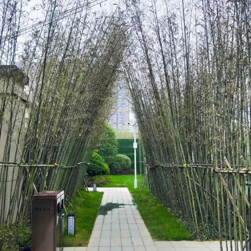 《城南胜地,人世蓬岛》 | 新东方主义写意,三进院落景观设计-53