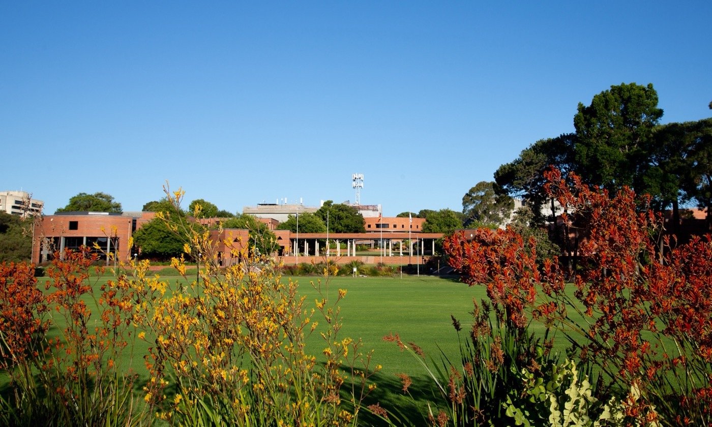 澳大利亚科廷大学土著学习圈丨澳大利亚珀斯丨科廷大学设计学院-12