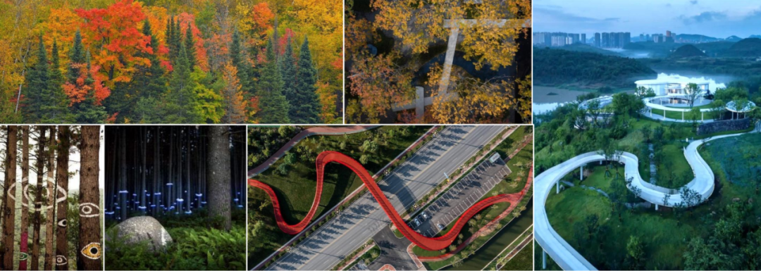 集团要闻丨庐山国家植物园建设项目获业主方高度赞扬-82