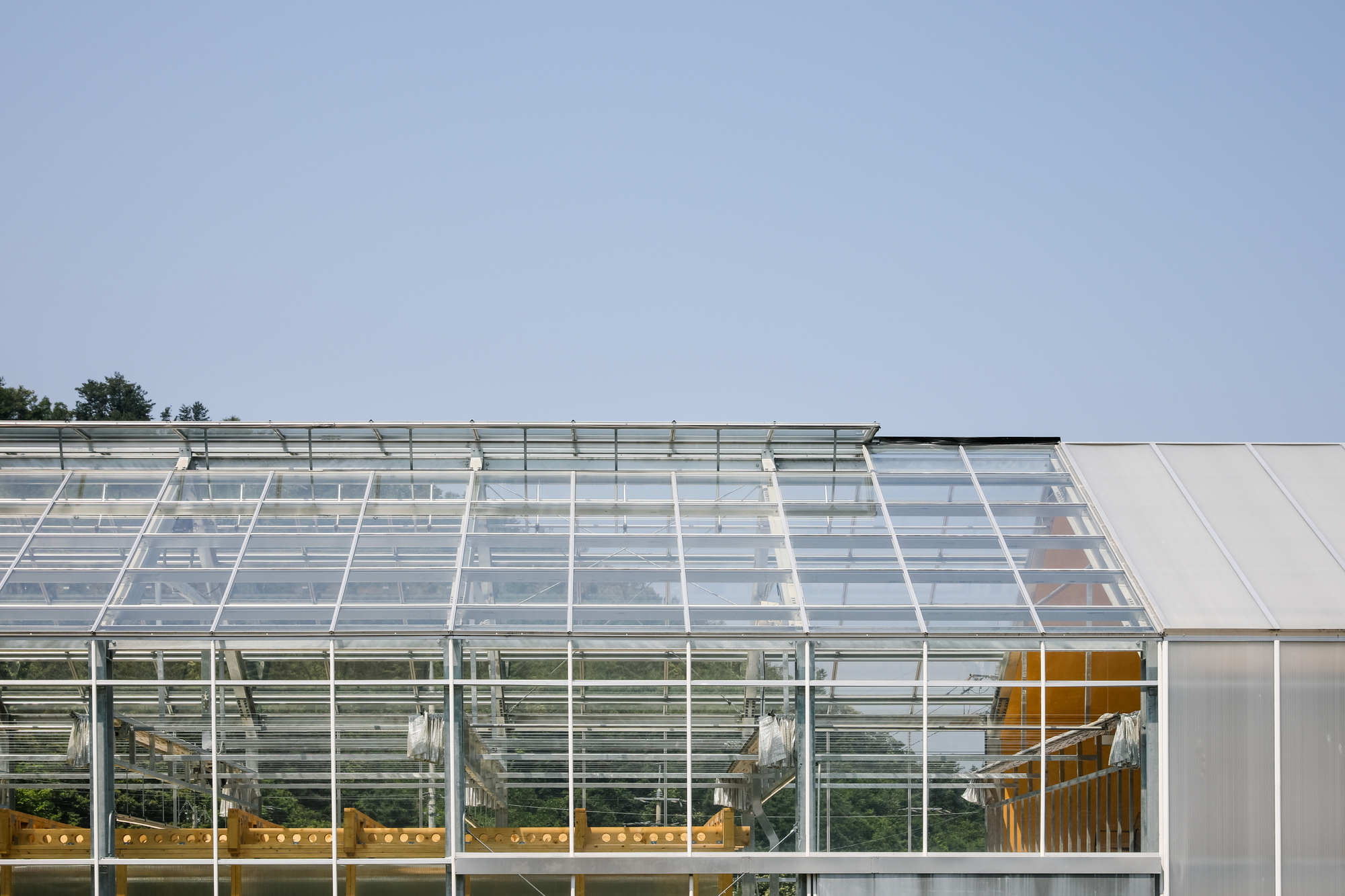 Glass House Laboratory / STAY Architects-41