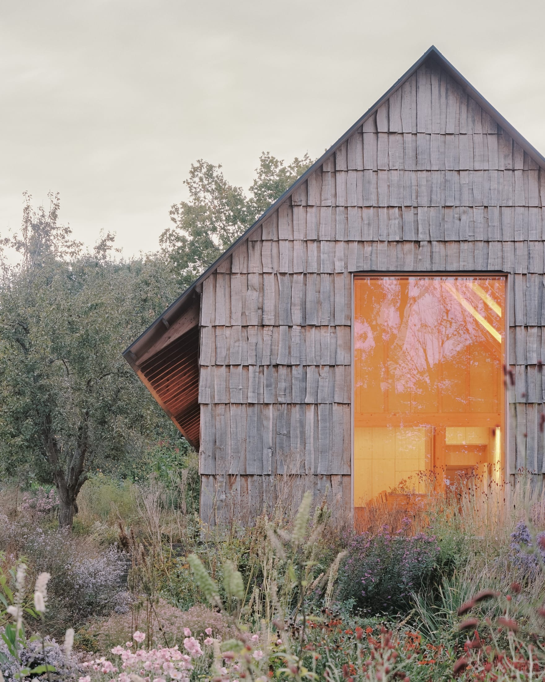 果园丨英国丨Okra-21