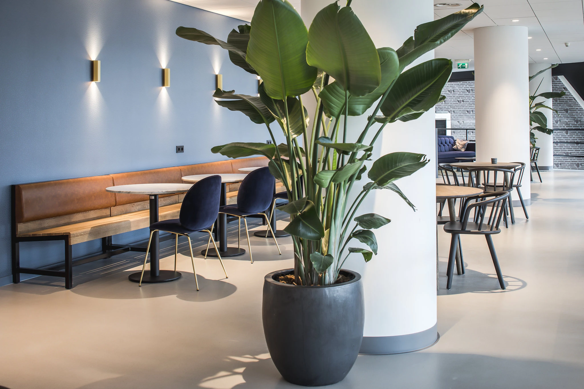 荷兰鹿特丹 Boompjes 办公楼入口翻新设计-26