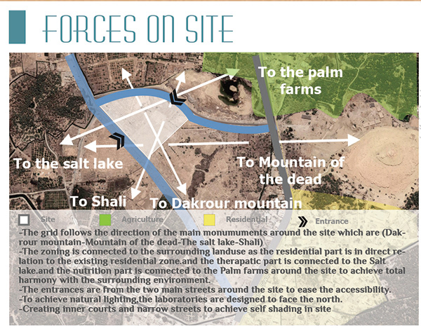 欣快营养度假村丨开罗大学工程学院建筑系-19