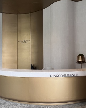 成都仁和春天银杏大道