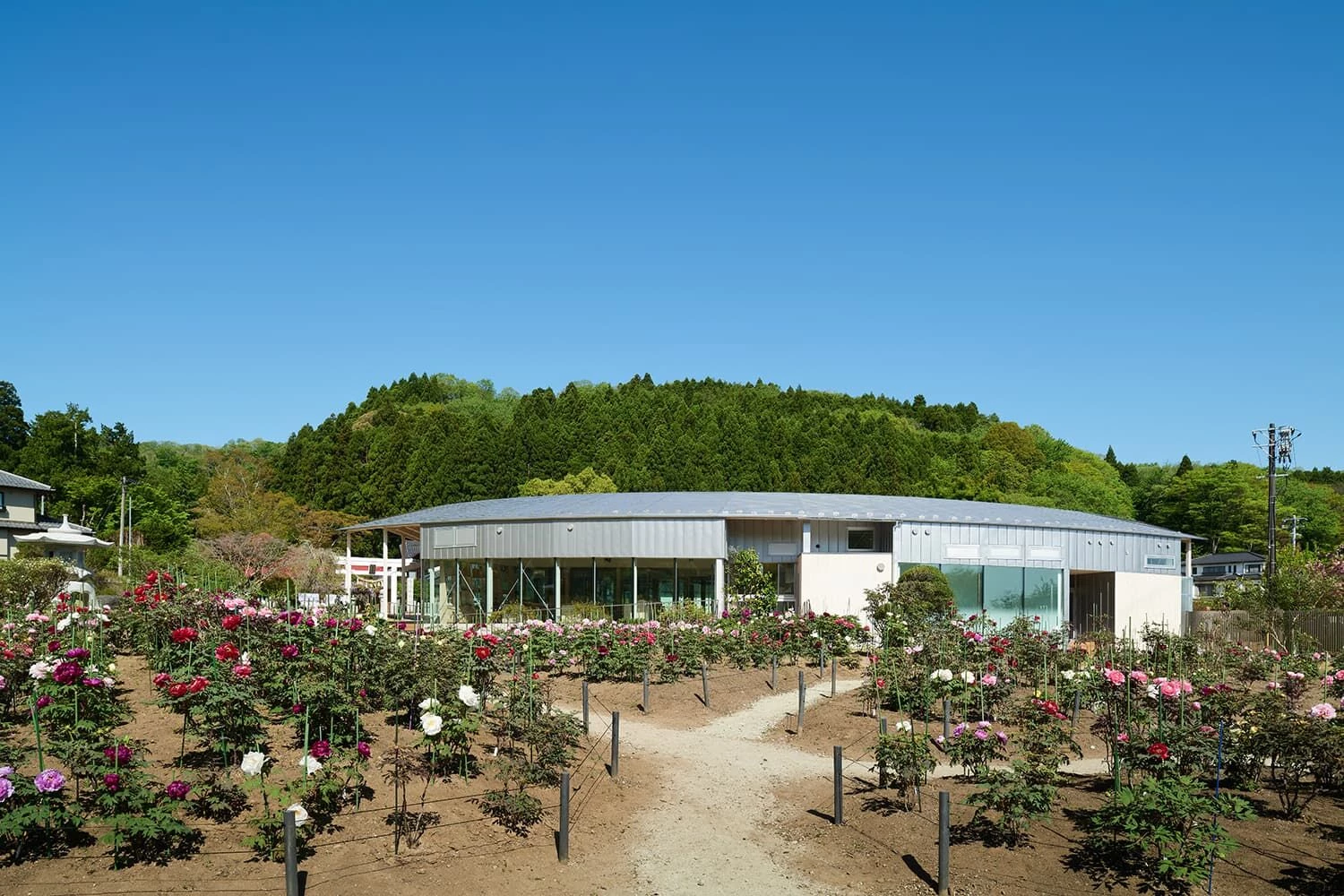 KANAHEBISUI Shrine Gaien SandoTerrace-11
