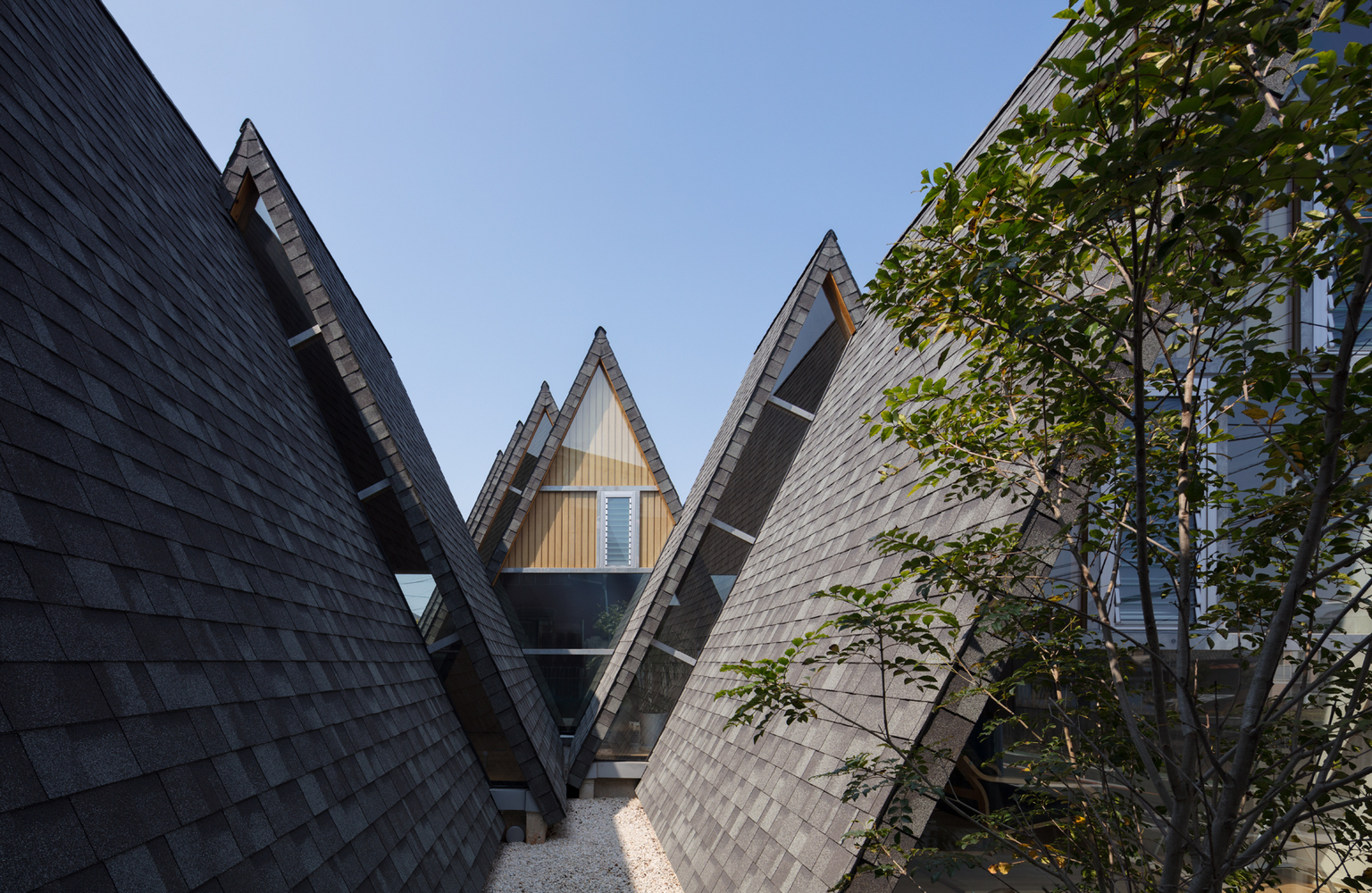 日本简约木结构诊所设计丨EAL + Atsushi Takano-16