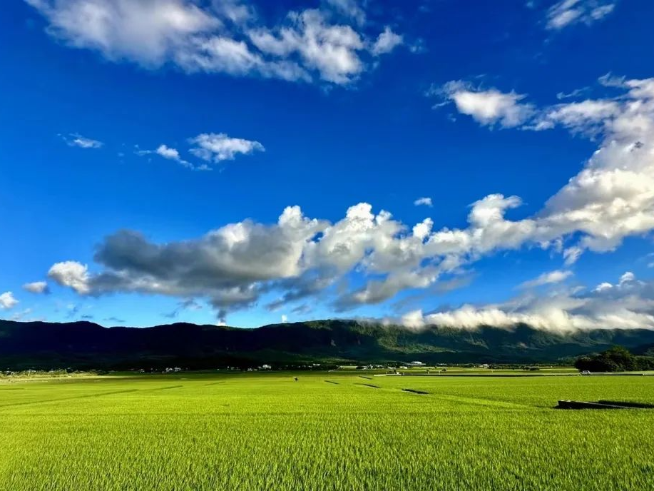 宁波 YUN 酒店丨中国宁波丨卢胤翰-10