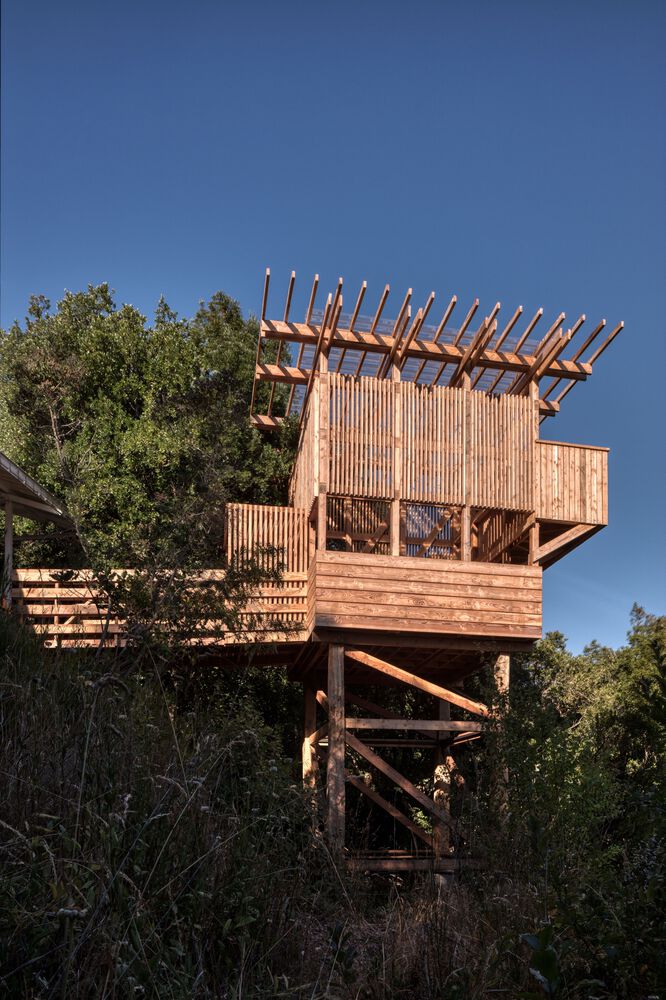 奇洛山丘丨智利丨Jaime Inostroza-28