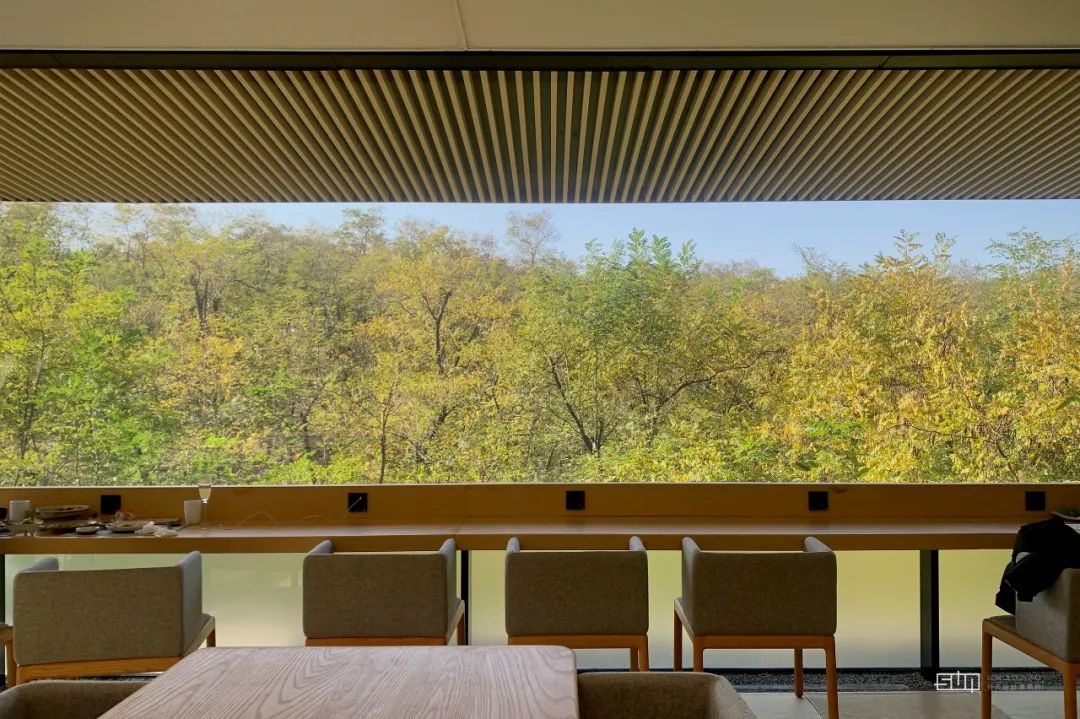 阿那亚海岛艺术之旅 | 寻找自然与艺术的回响-124