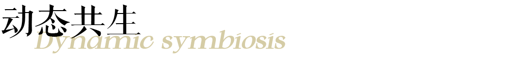 广州海心沙岛升维计划,广州海心沙英迪格酒店丨中国广州丨XAA冼剑雄联合建筑设计事务所-41