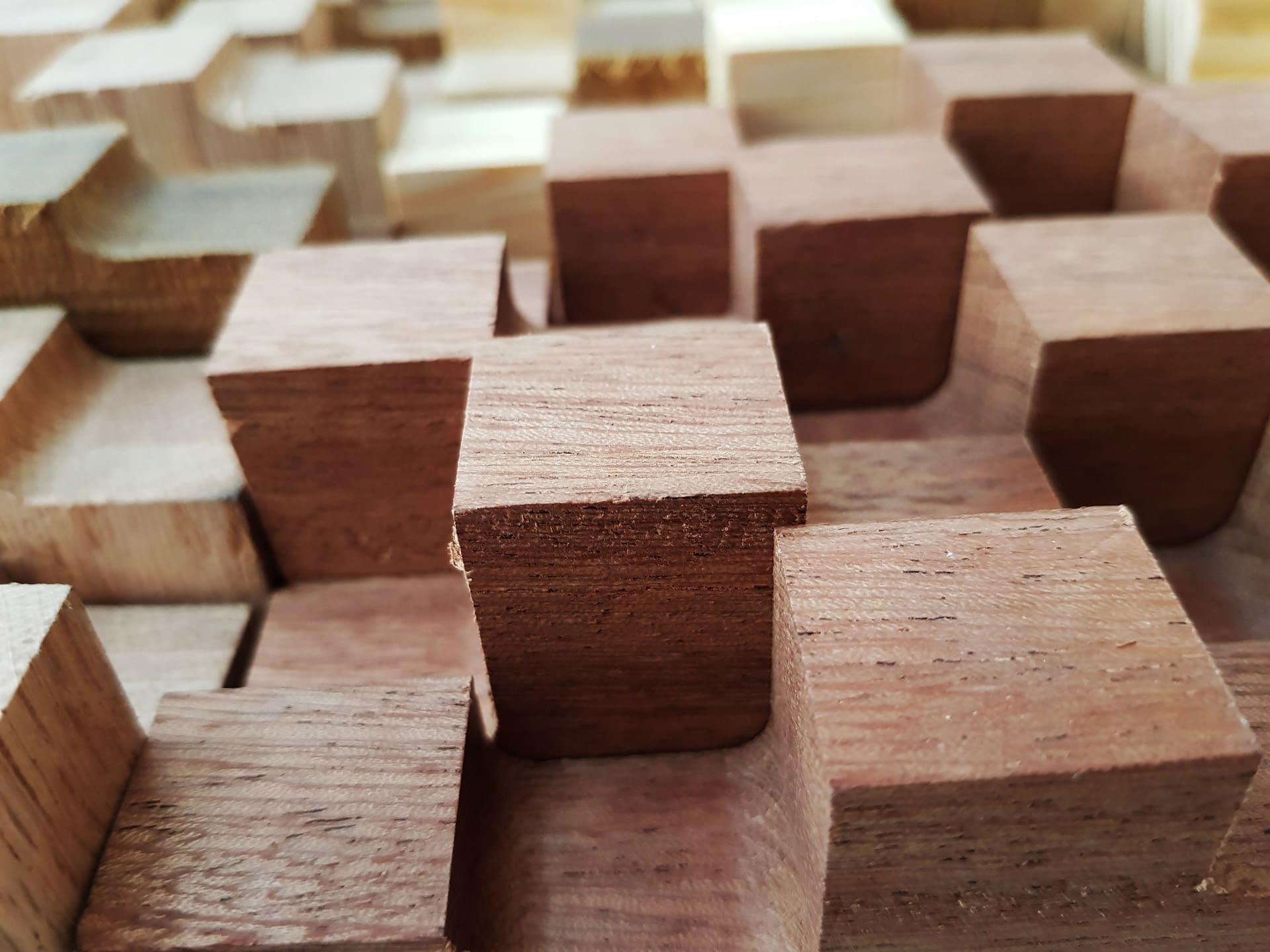 施罗德 – 全基因组编码计划（注：ENCODE全称为Encyclopedia of DNA Elements ，一般译为全基因组编码计划 ） -4