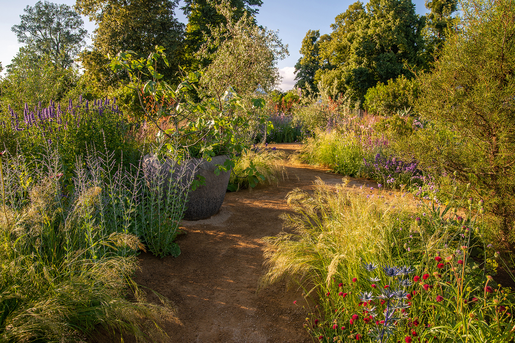 Hampton Court 2021-2