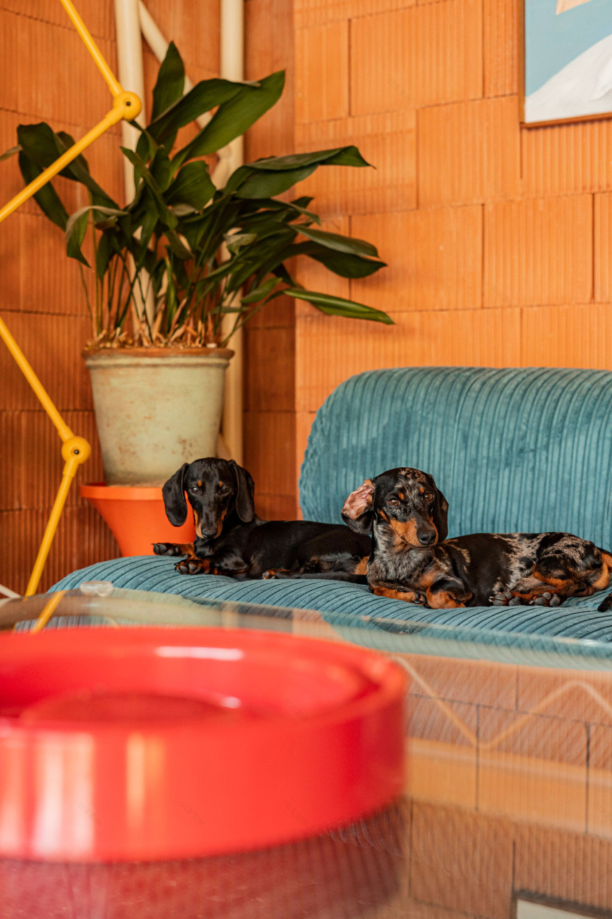 异想天开马德里别墅丨西班牙马德里丨CDP Arquitectos-47