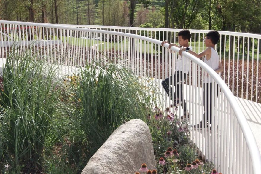 抚仙湖星空小镇 | 生态修复的人与自然和谐共生典范-76