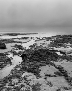 A Wet Weather Walk - Biripi Country - Fomapan 100