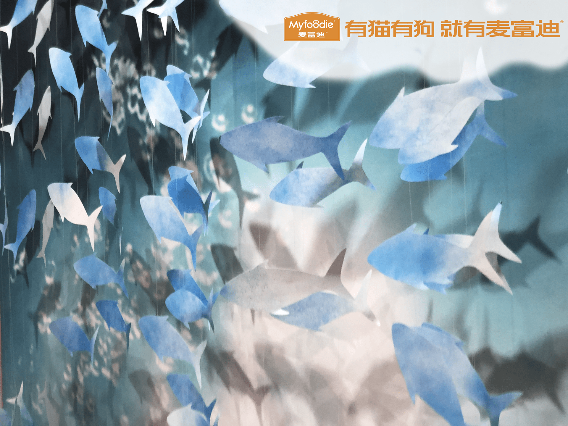 Pet fair Asia 2019 Myfoodie-17