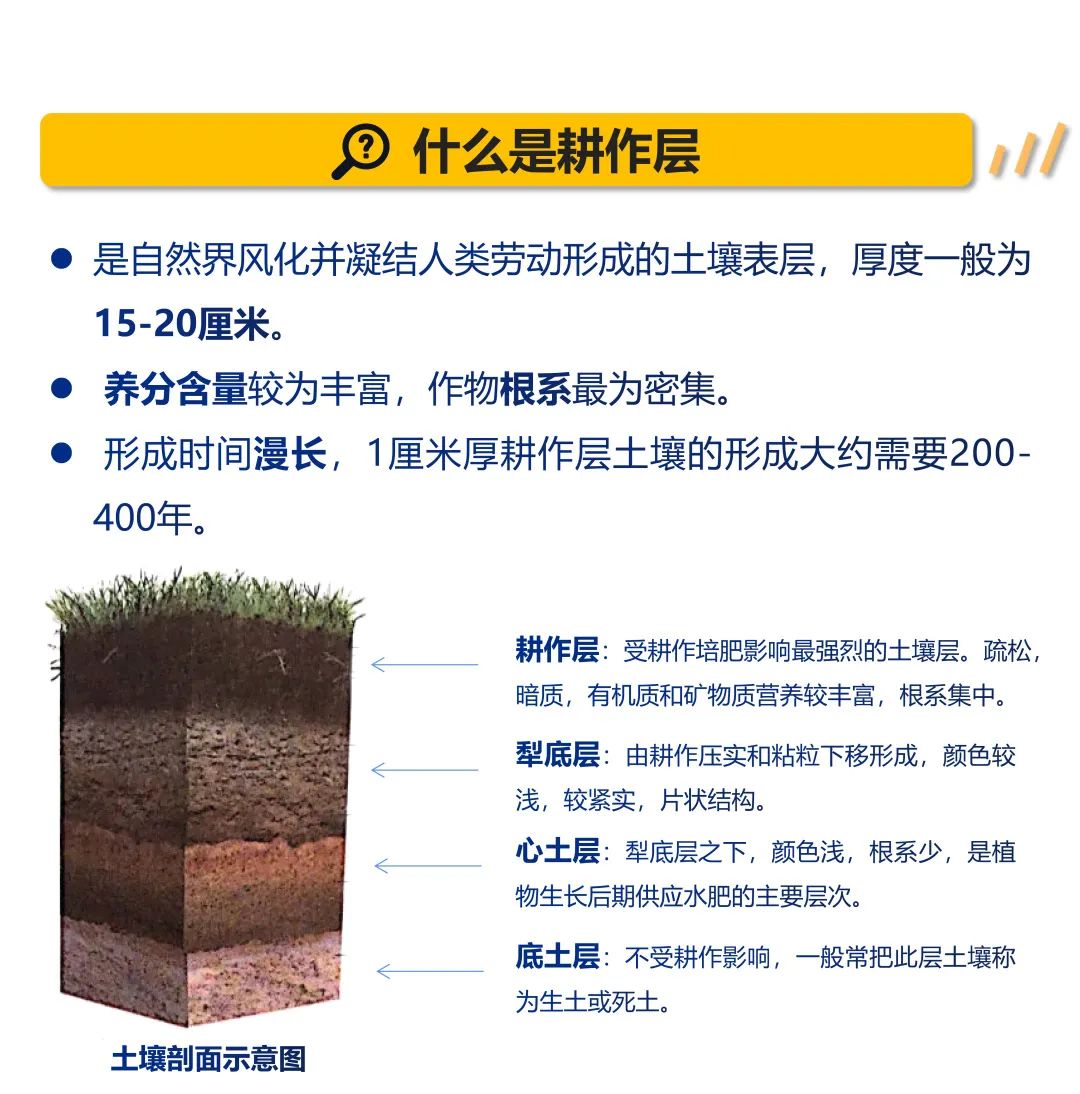 助力耕地保护,守护土壤资源丨GZPI 从化分院-2