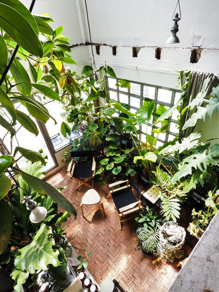 复古与自然共融的泰国 Too Can Cafe丨泰国曼谷丨SOAR（space oddity architect）-23