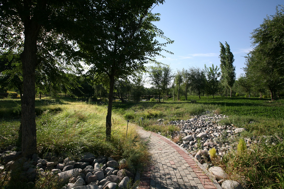 新疆博乐人民公园改造-55