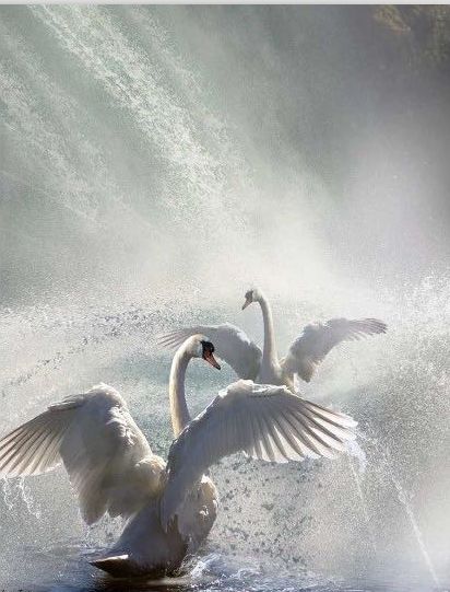 复古蜡笔色,打造轻盈甜美空间-30