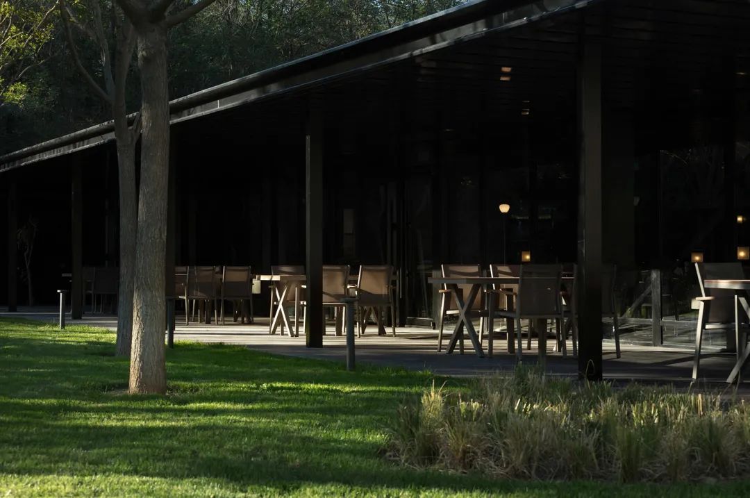 阿那亚珍滋味森林餐厅丨中国秦皇岛丨PLAT ASIA-29