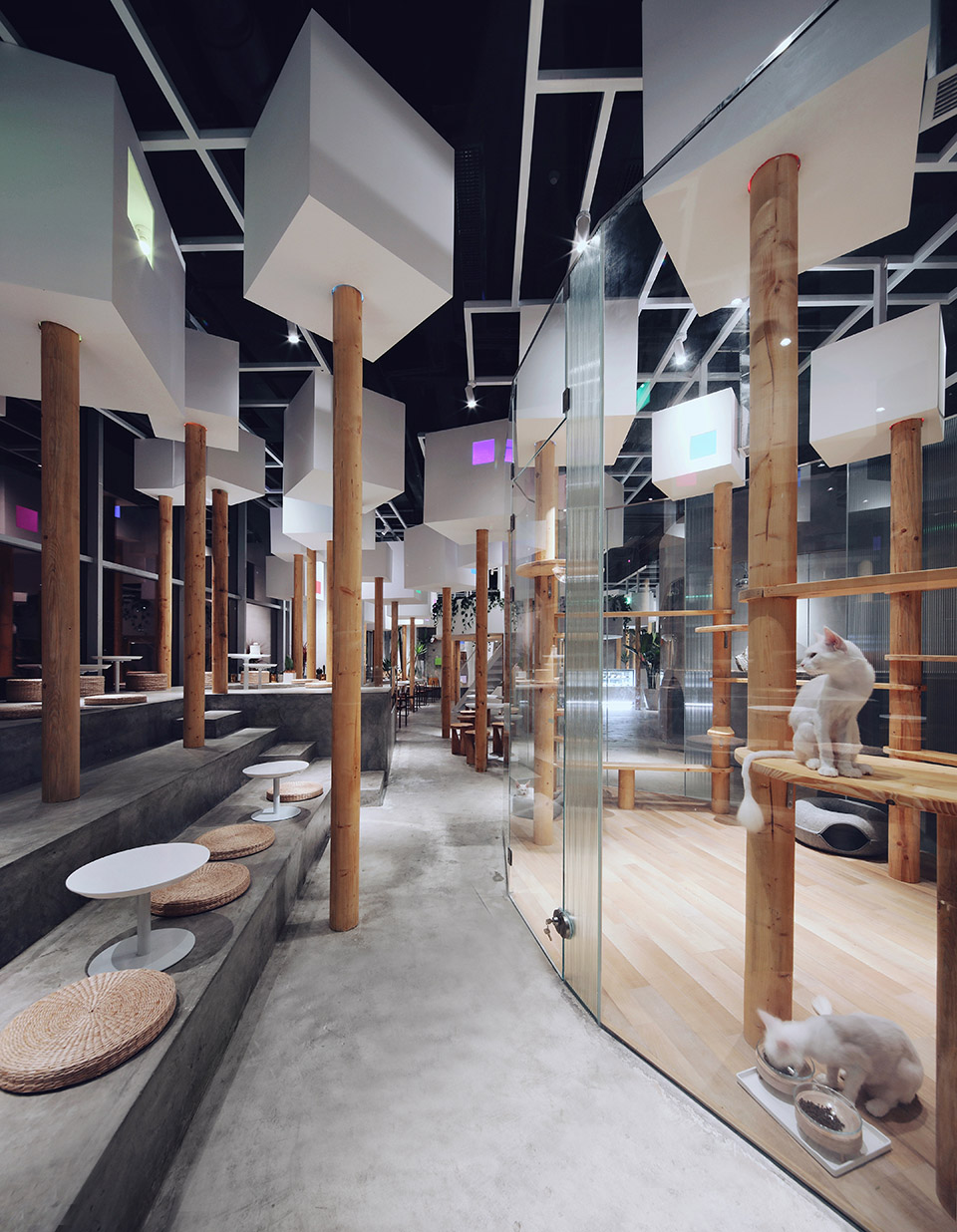 深圳TFB动物咖啡厅-21