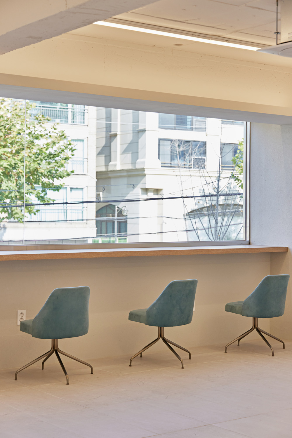 首尔 60 平现代宠物咖啡厅设计-20