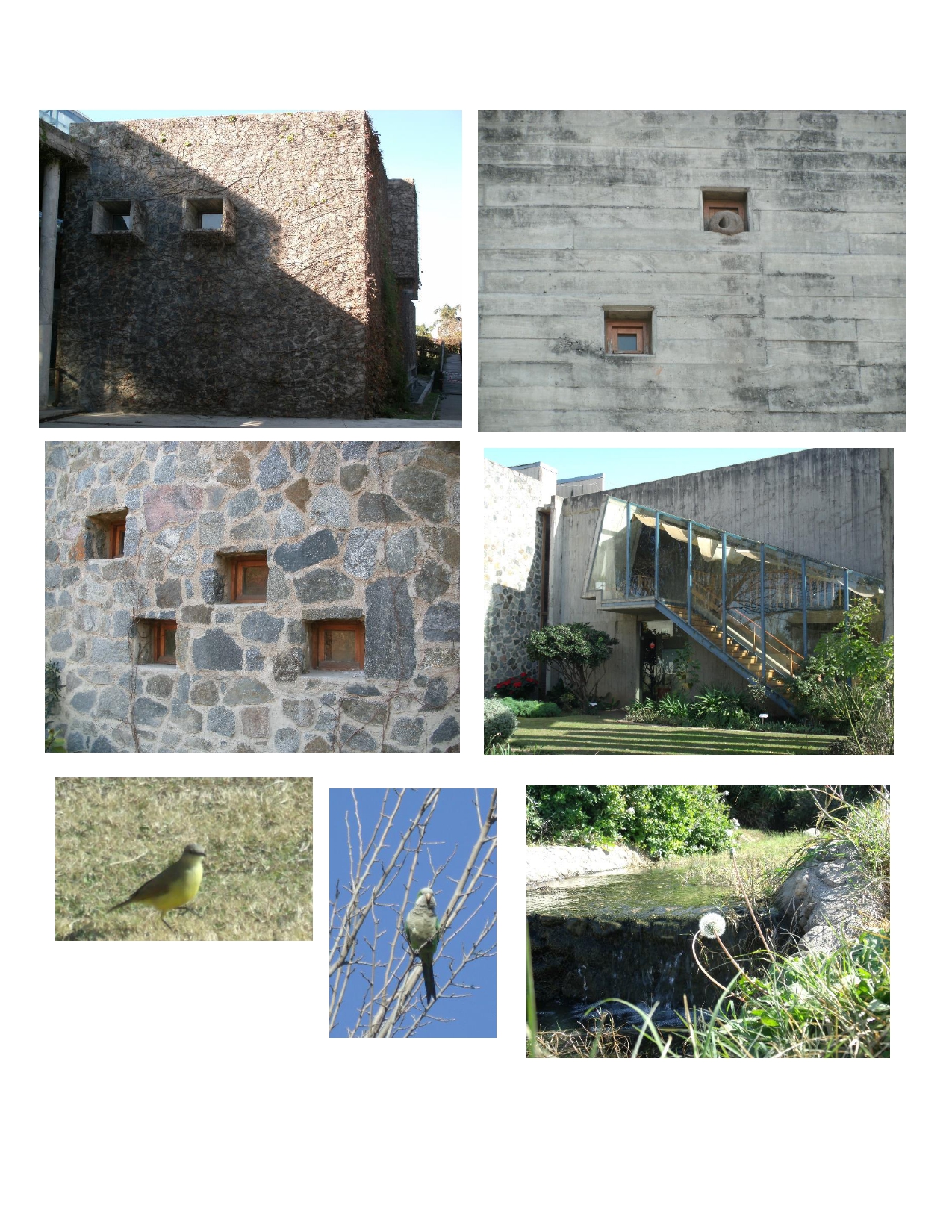 Jardín Botánico CBA, AR-3