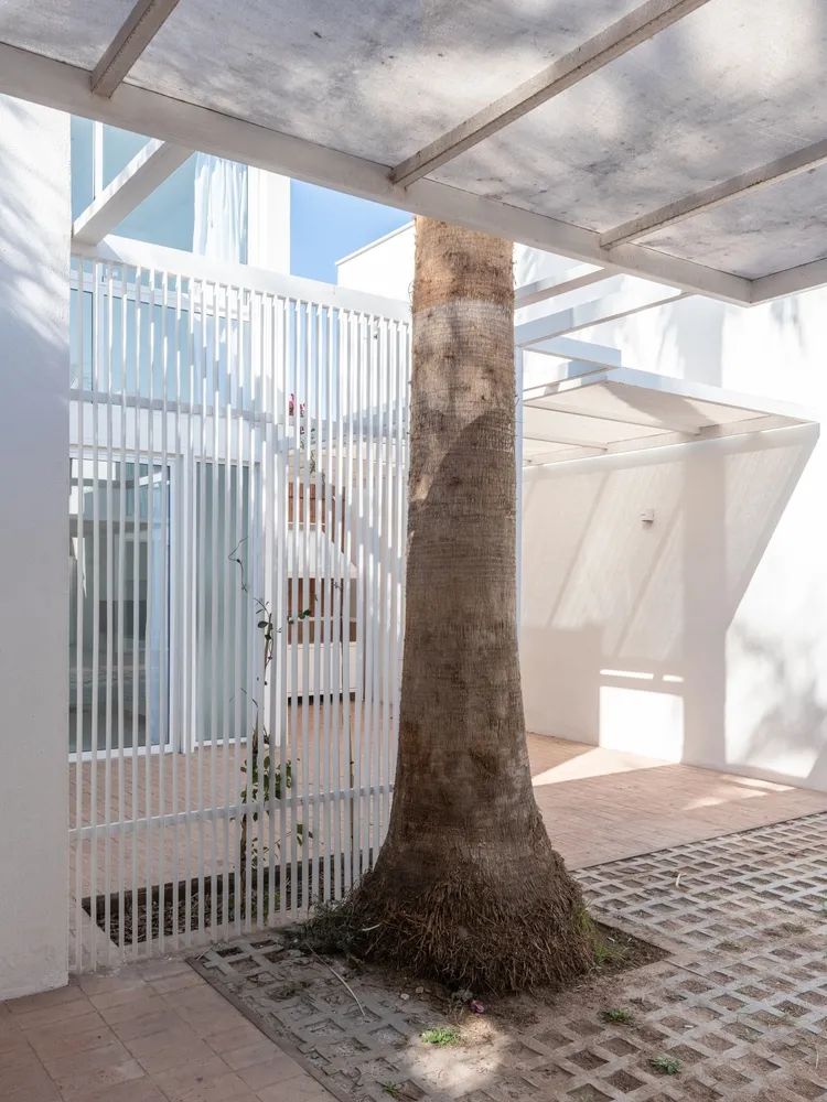 杜鹃花住宅区 | 600 平方米的单户住宅体验-22