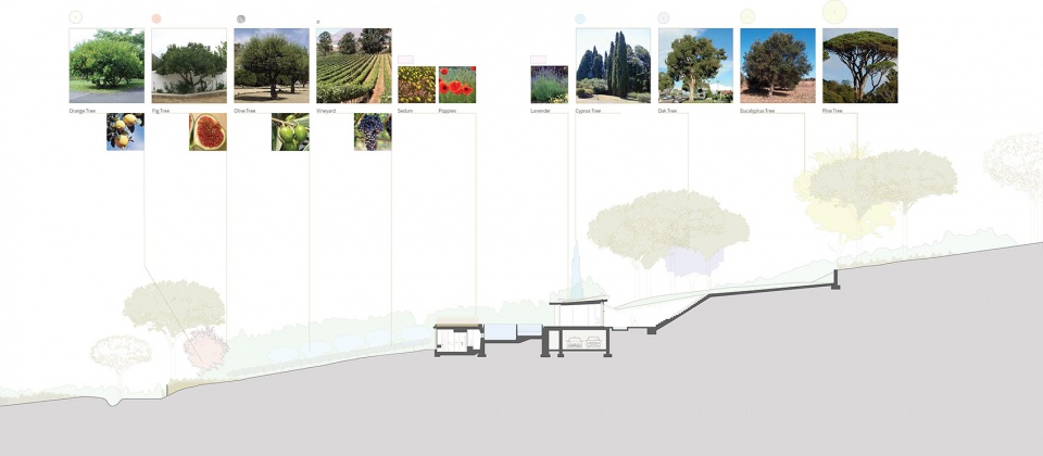 法国南部 Varoise 别墅丨NADAAA-47