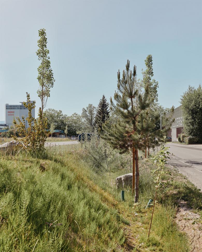 公园（的）关闭丨瑞士丨FORSTERPAYSAGE-3