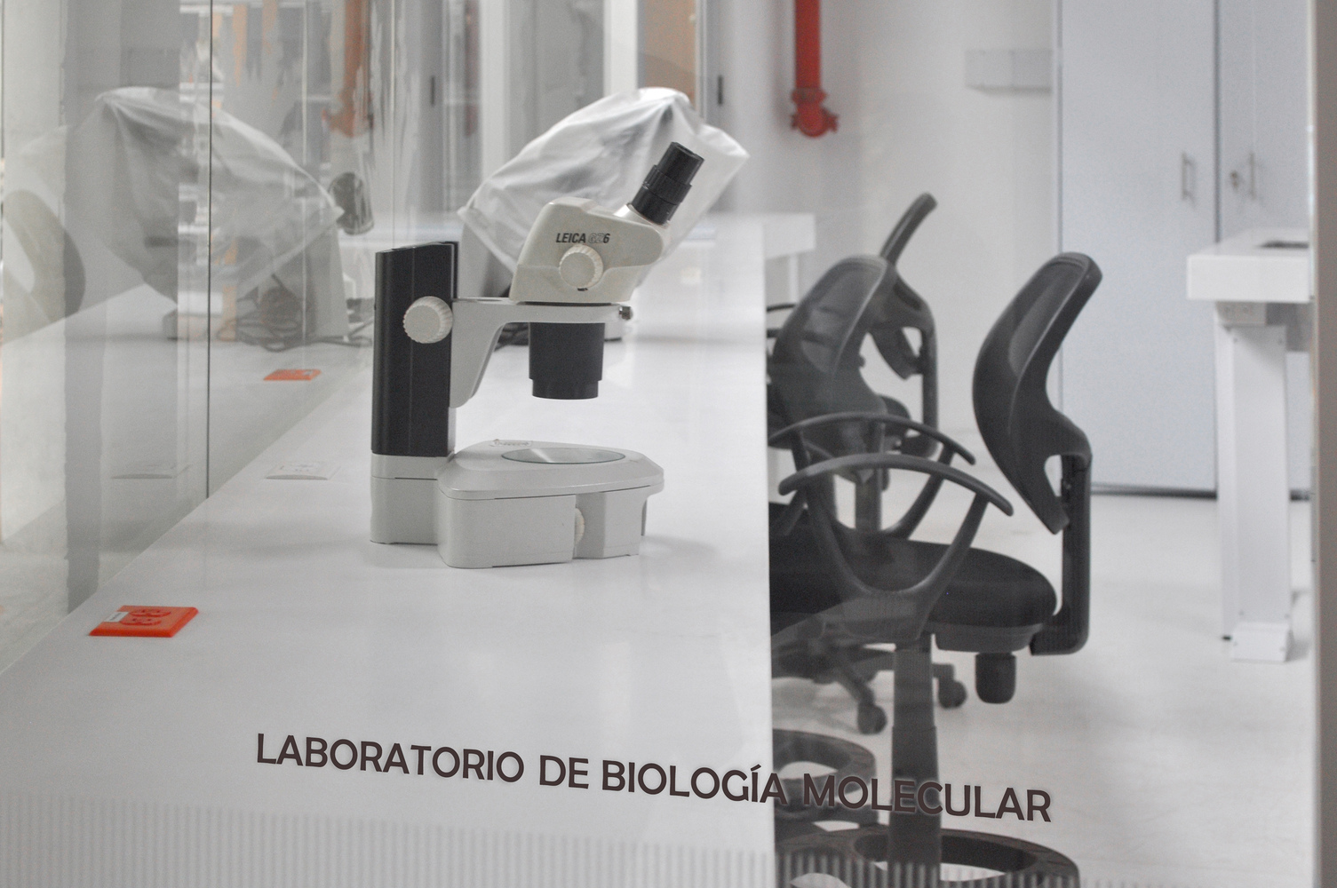 波哥大植物园植物标本馆-56