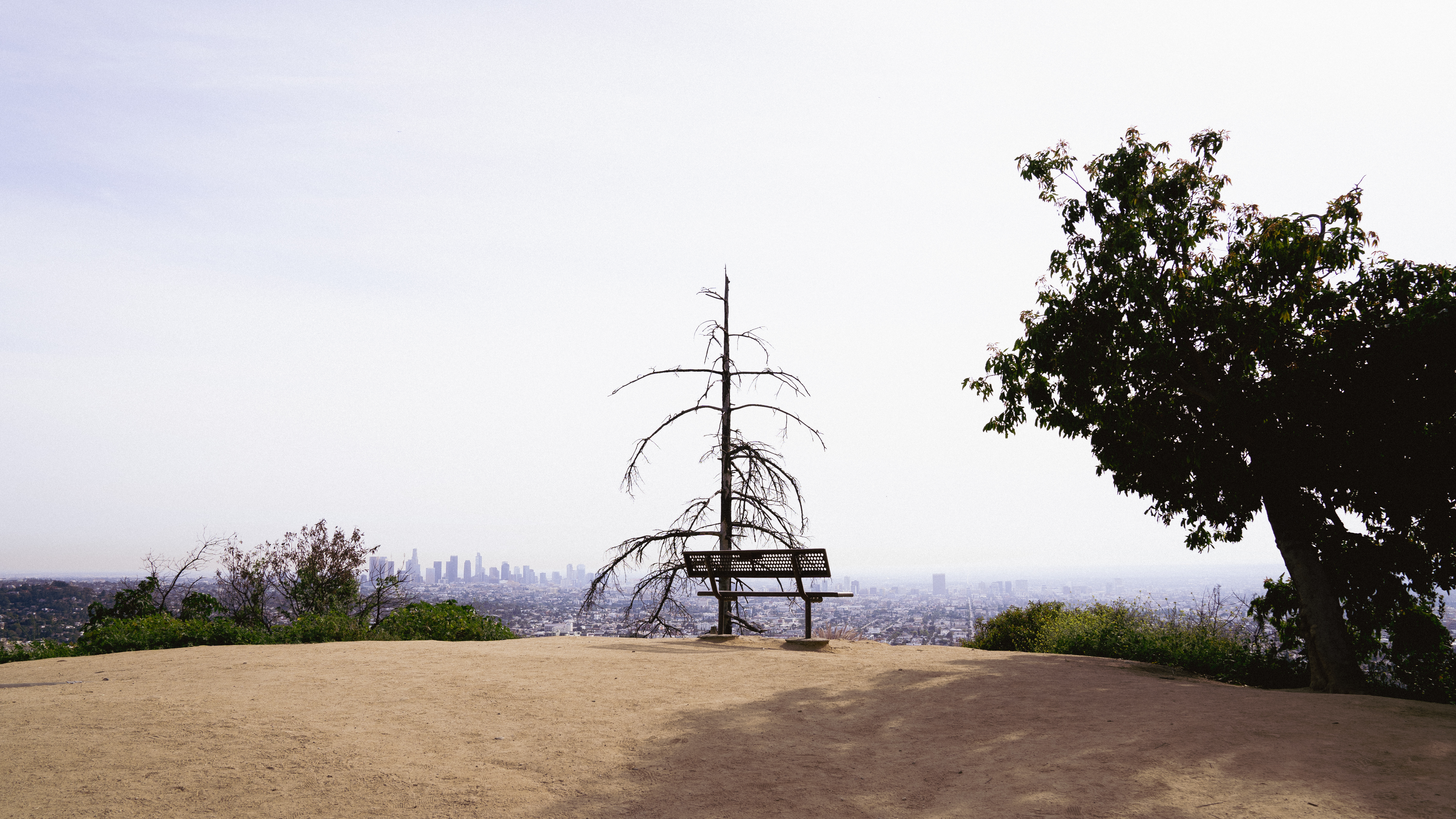 A walk to the top, LA-0