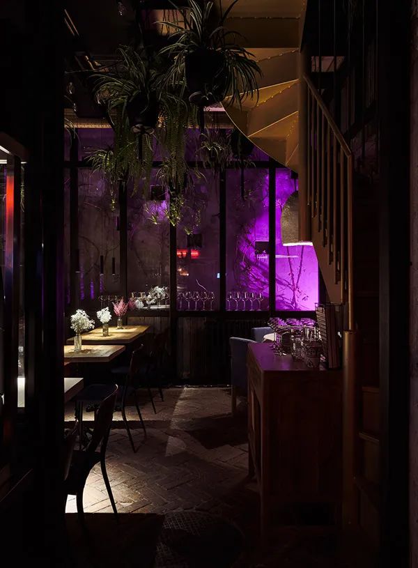 野性格鲁吉亚餐厅设计-19