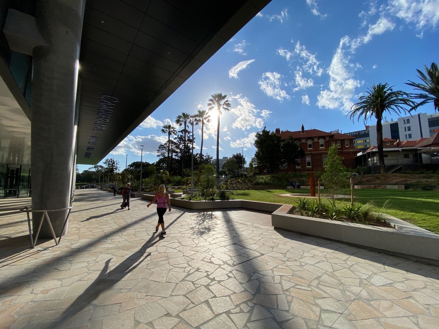 悉尼 St Leonards 健康组织迁址丨澳大利亚悉尼丨Arcadia Landscape Architecture-38