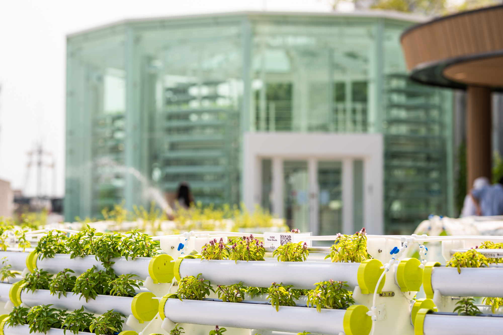 KFarm · 结合科技与自然的城市农场设计丨中国香港-16