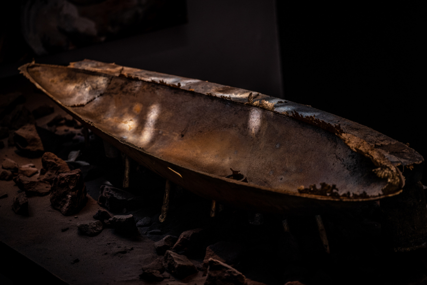 Sharks at The Jane - Dieter Vander Velpen Architects-13