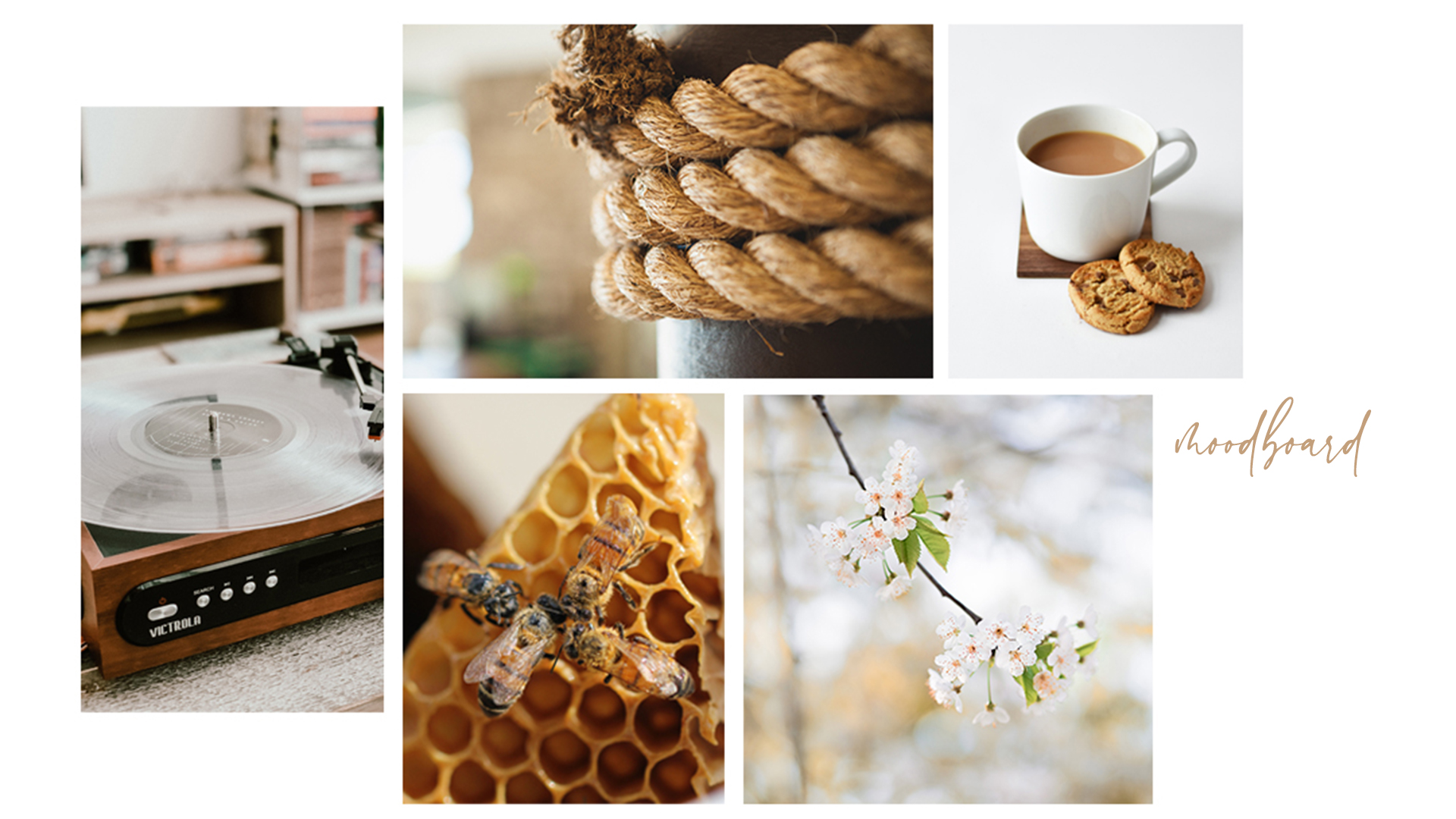 Commercial Interior-6