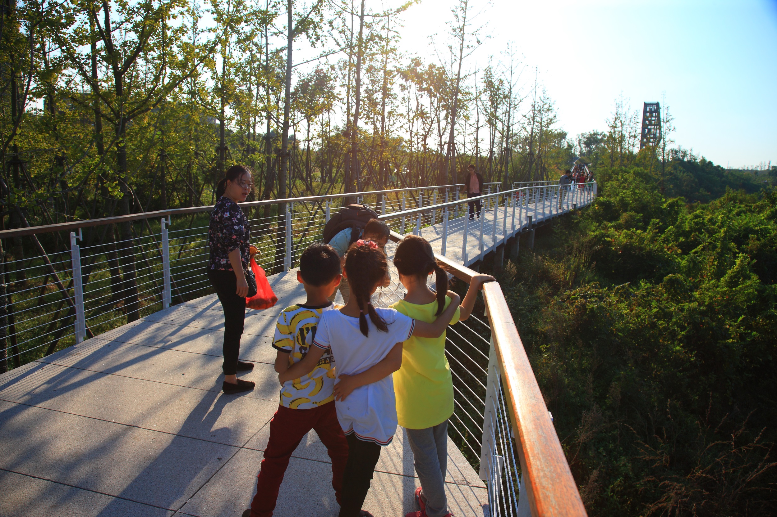 西安雁南公园（二期）丨中国西安丨土人设计（Turenscape）-56