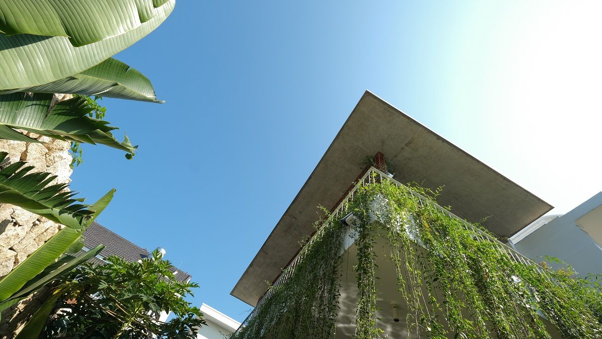 绿意盎然的城市家园-17