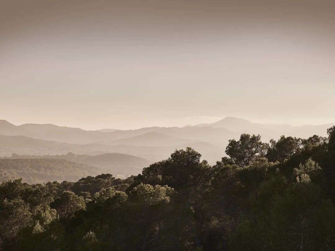 伊比沙岛自然之美 | La Granja Ibiza 农舍设计-29