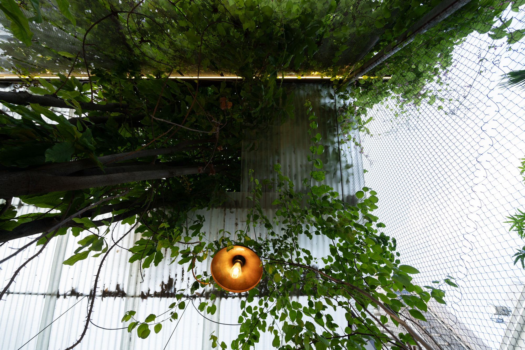 咖啡店丨越南丨xưởng xép-46