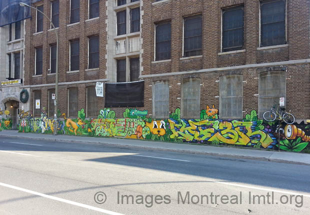 École Baron Byng学校改造项目丨加拿大魁北克-9