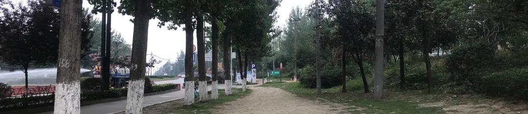 yǒu作品 |  蜀龙大道——公园城市街道一体化践行-22