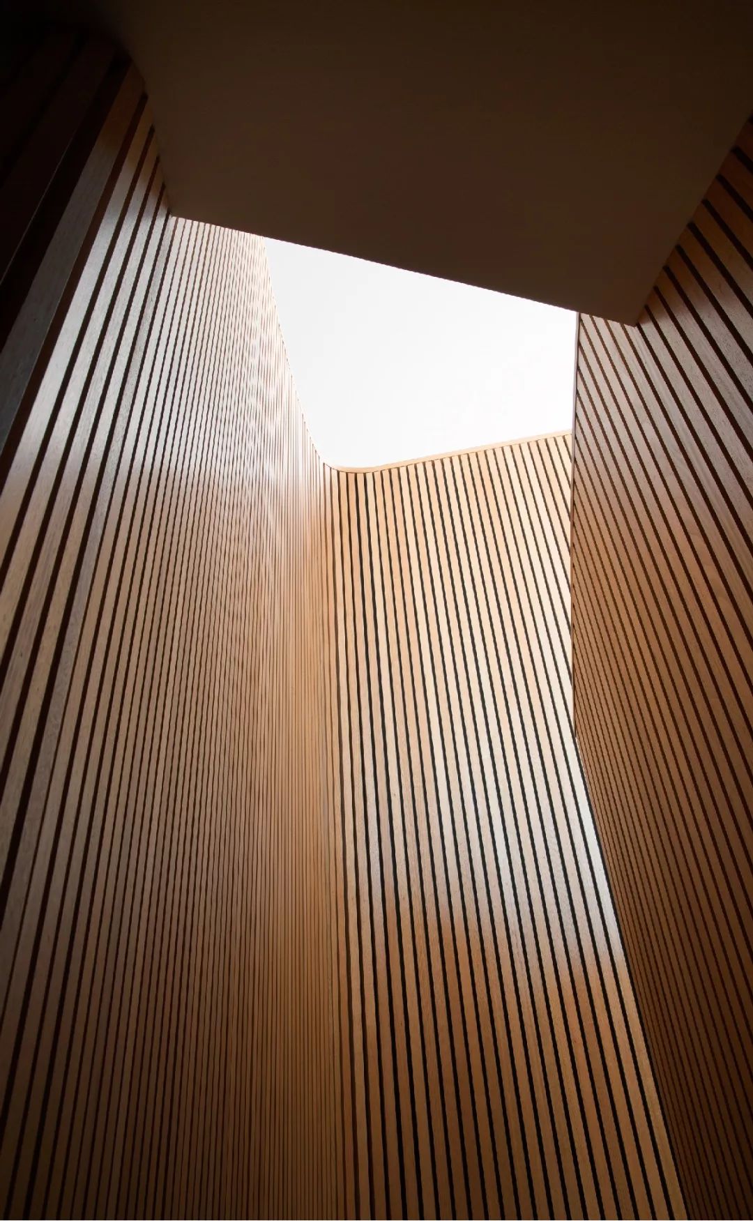 永恒之美 | Cera Stribley 建筑探寻-49