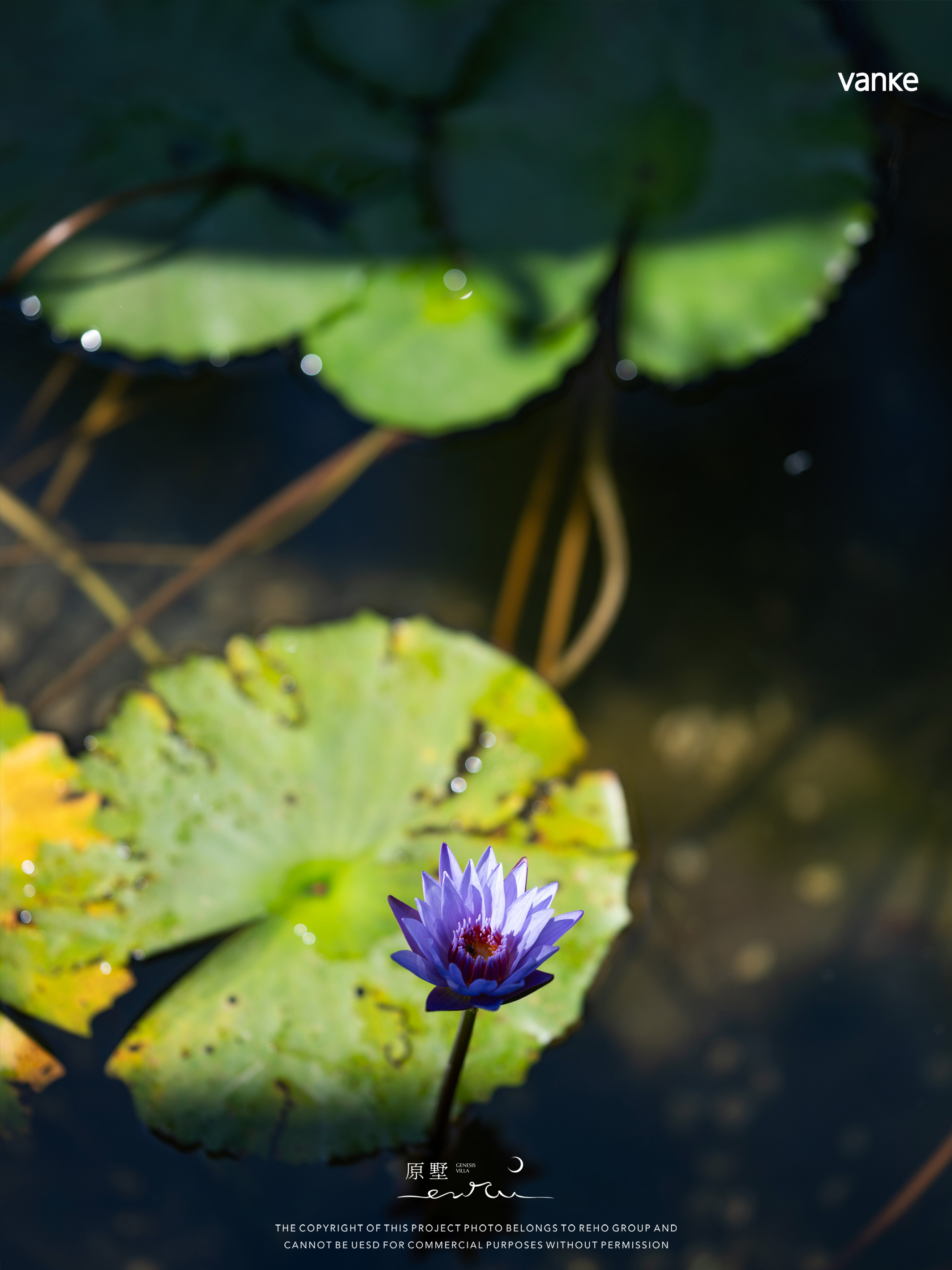 中山颐湾花园G29示范区丨中国中山丨室内设计为深圳壹方空间设计有限公司,还有多家参与不同设计-20