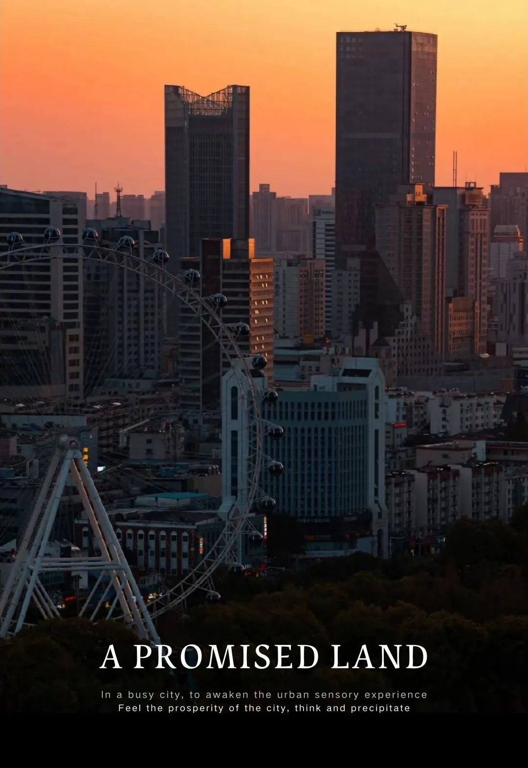 安徽置地·栢悦书香丨中国合肥丨AVAD 范可萨设计-1